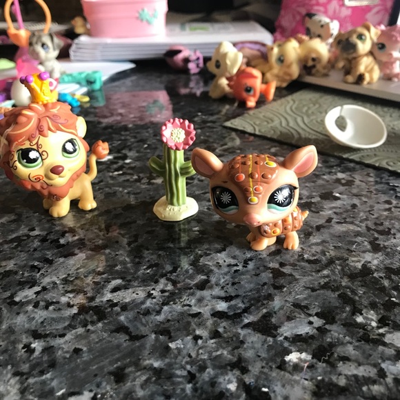 Littlest Pet Shops! - Picture 7 of 16